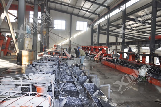 phosphate rock flotation.jpg